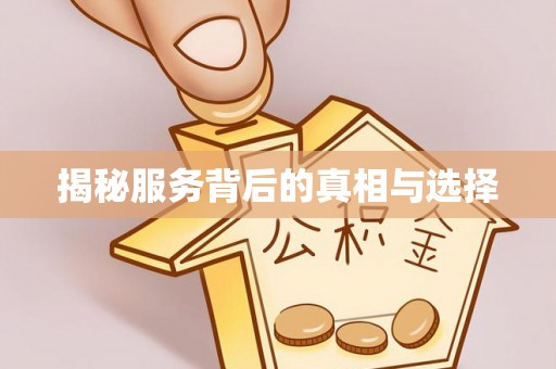 积石山揭秘服务背后的真相与选择