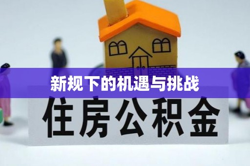 积石山新规下的机遇与挑战