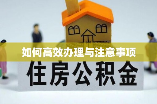 积石山如何高效办理与注意事项