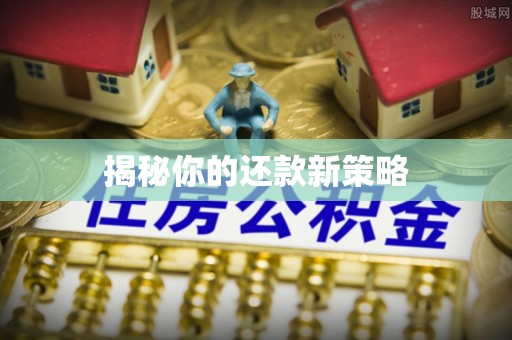 积石山揭秘你的还款新策略