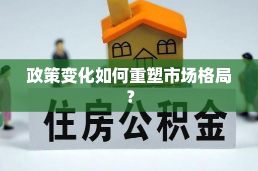 积石山政策变化如何重塑市场格局？