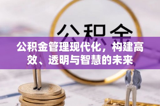 积石山公积金管理现代化，构建高效、透明与智慧的未来