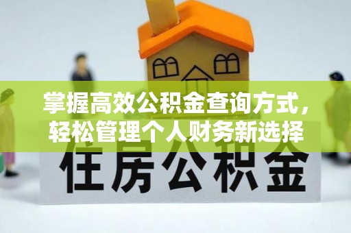 积石山掌握高效公积金查询方式，轻松管理个人财务新选择