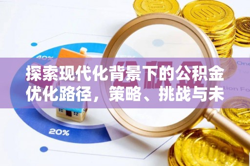 积石山探索现代化背景下的公积金优化路径，策略、挑战与未来展望