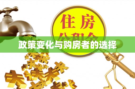 积石山政策变化与购房者的选择