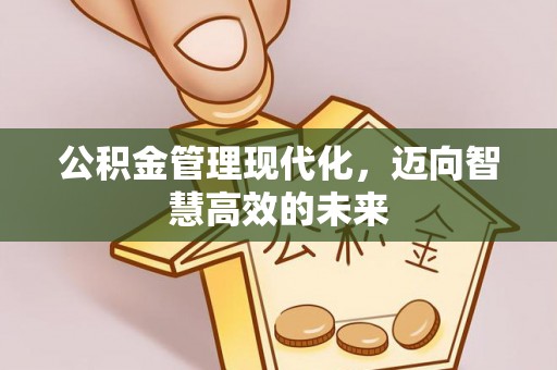 积石山公积金管理现代化，迈向智慧高效的未来