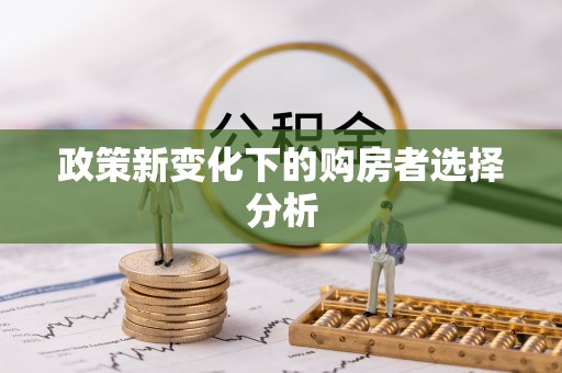 积石山政策新变化下的购房者选择分析