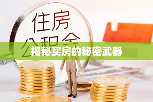 积石山揭秘买房的秘密武器