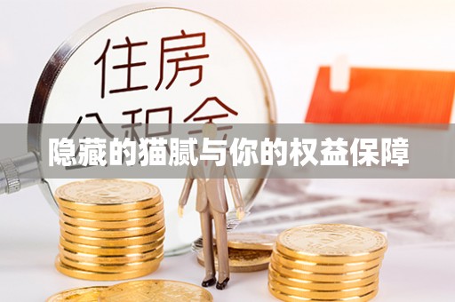 积石山隐藏的猫腻与你的权益保障