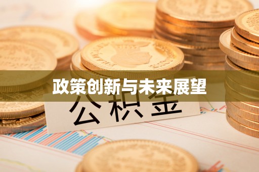 积石山政策创新与未来展望