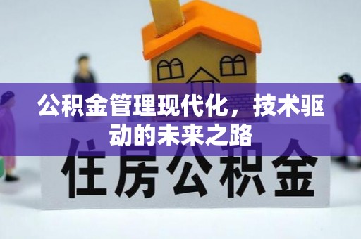 积石山公积金管理现代化，技术驱动的未来之路
